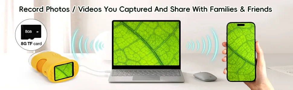 Handheld Digital Microscope | Bebanghan